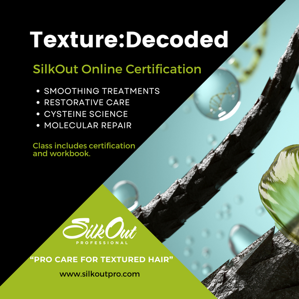 SILKOUT CERTIFICATION WEBINAR